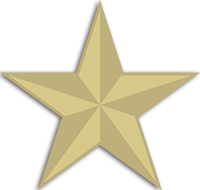 A gold nautical star to represent excellence in service for the crew of Northern Light